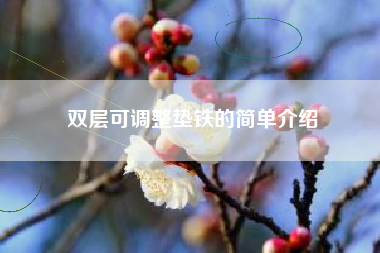 雙層可調(diào)整墊鐵的簡(jiǎn)單介紹