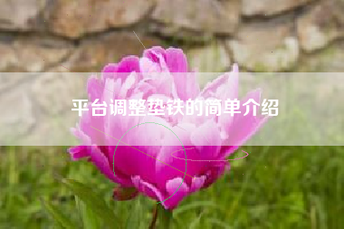 平臺(tái)調(diào)整墊鐵的簡(jiǎn)單介紹